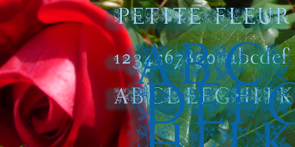 PetiteFleur, a Font by Wiescher-Design (Photo 2 of 2)