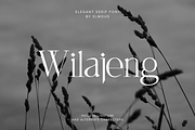 Wilajeng - Classy Elegant Serif Font, a Serif Font by Elmous (Thumbnail 1 of 11)