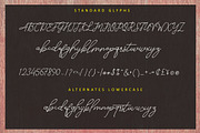 Alesana Signature, a Script Font by AMINMARIO (Thumbnail 12 of 14)