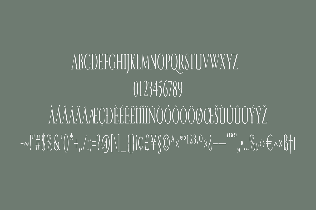 jovanca, a Serif Font by jaffana.co (Photo 5 of 5)