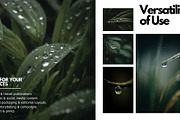 Liquid Jewels – Macro Photography, a Nature Photo by Virgo Studio (Thumbnail 5 of 6)