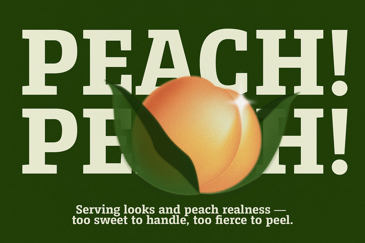 Serifnova, a Serif Font by graphicook (Photo 7 of 10)