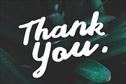 Stay Young - A Display Font, a Script Font by azetypestudios.com (Thumbnail 10 of 10)