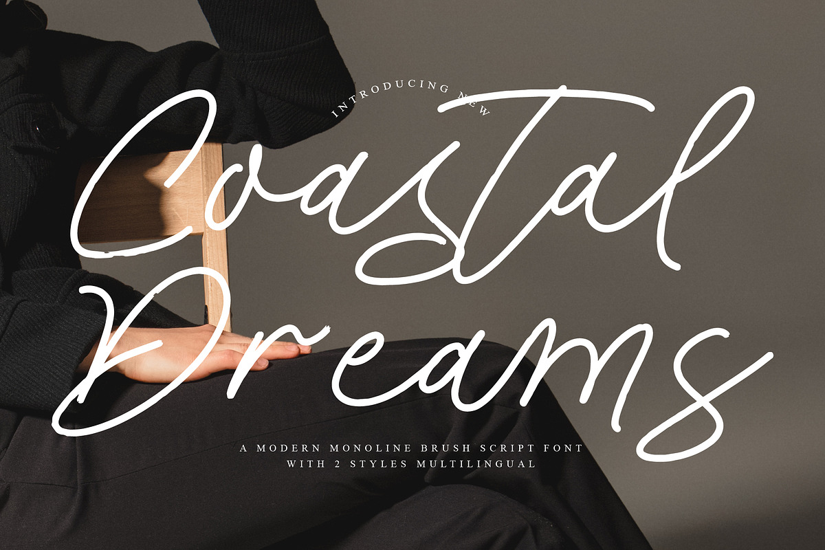 Coastal Dreams, a Script Font by operatype.co (Photo 1 of 15)