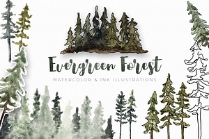 Evergreen Forest Watercolor