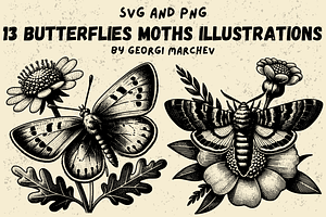 Moths Butterflies SVG PNG Bundle