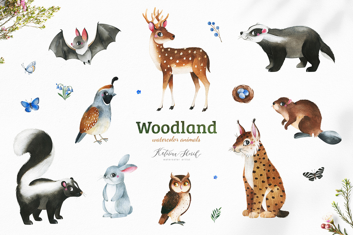 Woodland. Cute forest collection., an Animal Illustration by Kate_Rina (Photo 2 of 15)