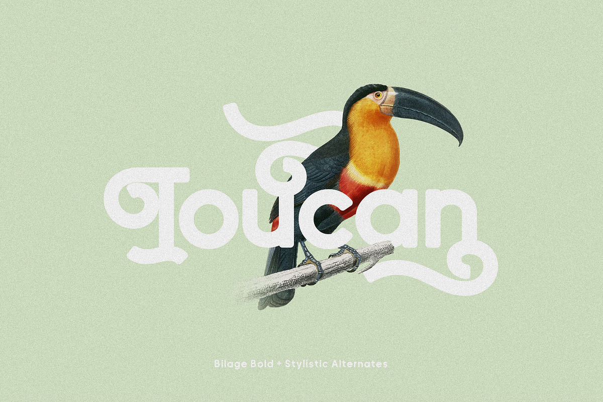 Bilage preview 3