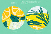 Limes and Lemons Illustrations, a Food Illustration by GVGraphics (Thumbnail 6 of 7)