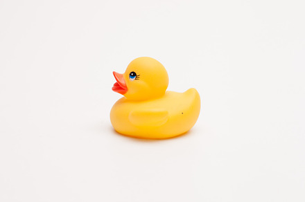 Rubber Ducks In Wait preview 5