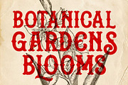 Gashroad - Vintage Style, a Font by Arterfak Project (Thumbnail 9 of 13)
