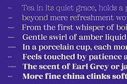 Marchise; 16 Classy Serif Fonts, a Serif Font by Eko Bimantara (Thumbnail 8 of 14)
