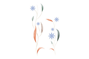 Graceful watercolor flower stems, an Object Illustration by okskukuruza