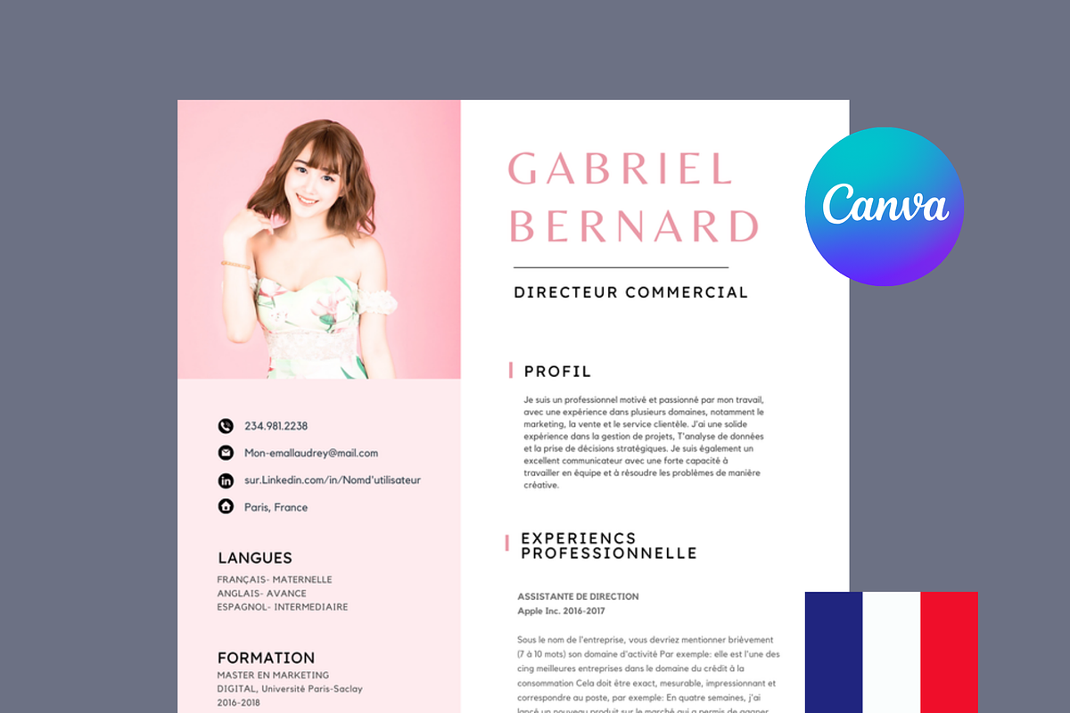 Cv francais, Modèles de CV Simples, a Resume Template by Climbwithelevator (Photo 1 of 7)
