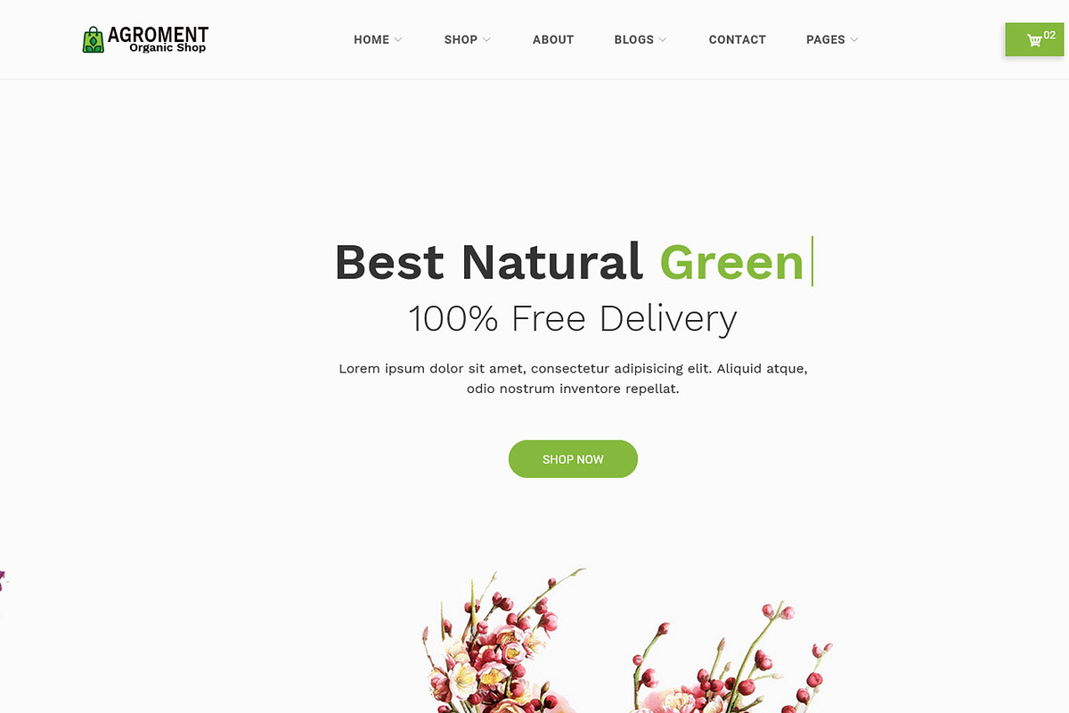 Agroment Organic Food HTML Template, a HTML Template by techboot (Photo 4 of 8)