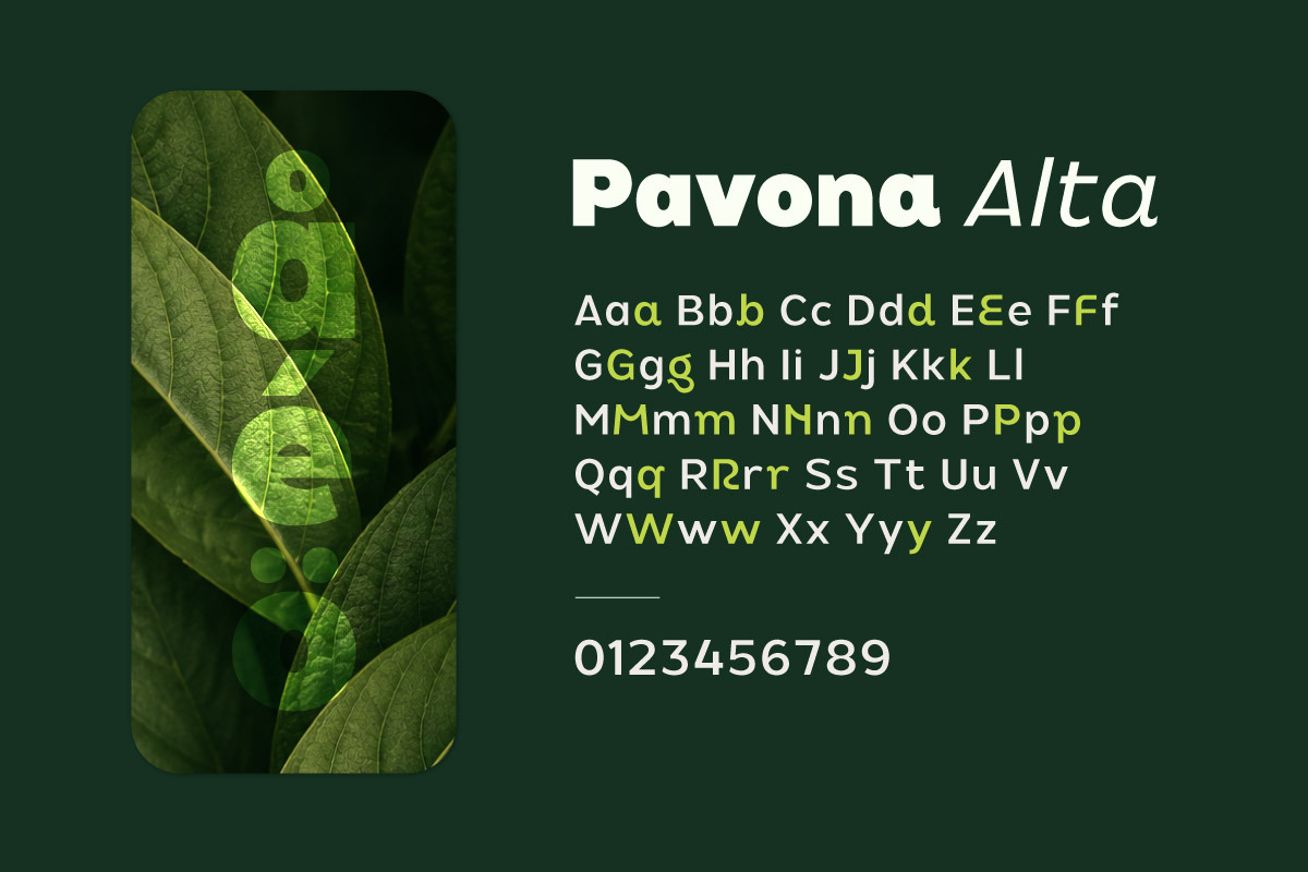 Pavona Alta - Pure Renewable Sans, a Sans Serif Font by twinstd (Photo 10 of 13)