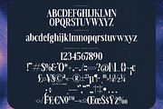 Voilstar Modern Display Serif, a Serif Font by timelesstype.co (Thumbnail 18 of 20)