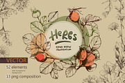 Vector HERBS, a Healthcare Illustration by Izobova (Thumbnail 1 of 4)