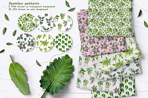 Philodendron Plans Watercolor Set