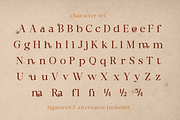 Bornatte Modern Ornament Serif Font, a Serif Font by Rasio Studio (Thumbnail 2 of 10)