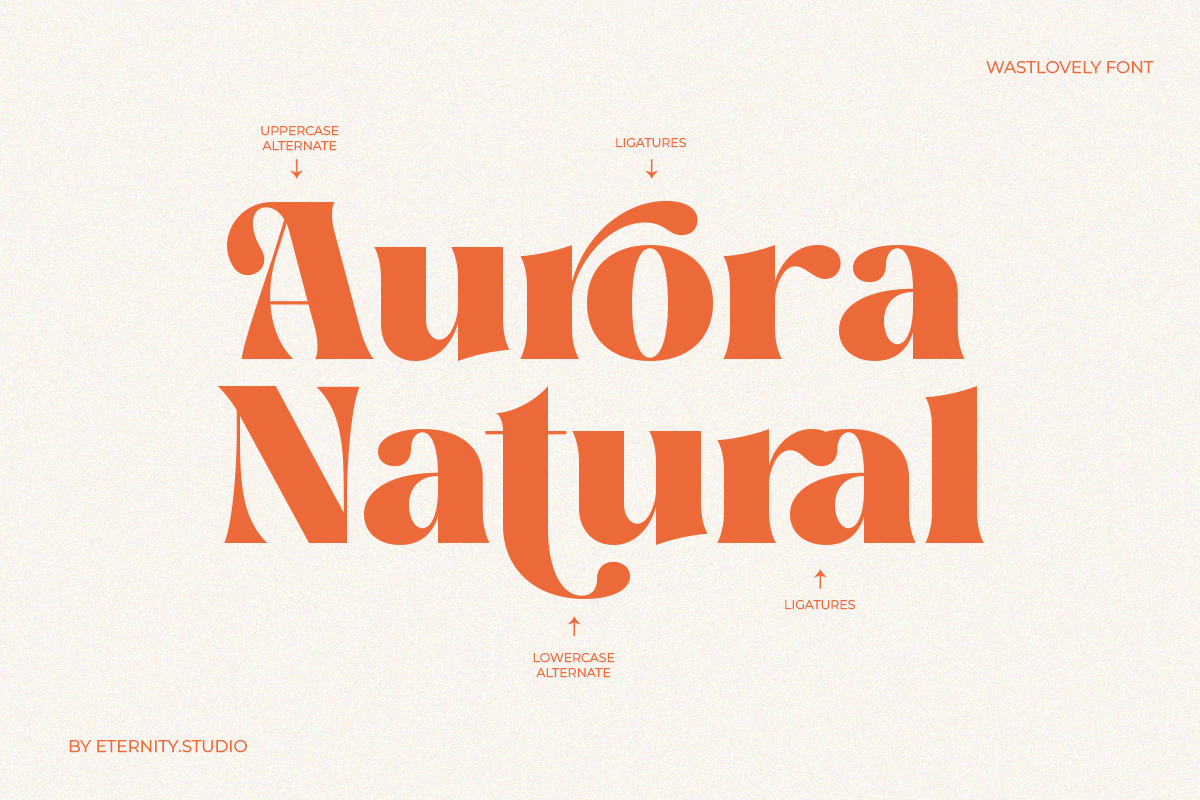 Wast Lovely Stylish Retro, a Serif Font by Eternity Studio (Photo 3 of 10)