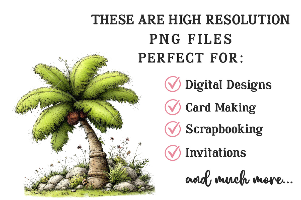 Whimsical Summer Palm Tree Clipart, an Illustration by OK Design (Photo 4 of 6)