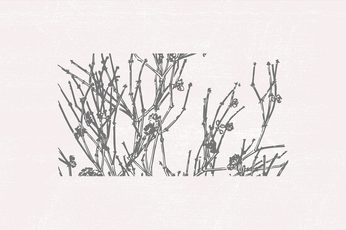 Dried Flowers, Petals, Shoots, an Illustration by TheBlackPixelCo (Photo 6 of 8)