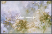 June Bloom Floral Backgrounds, a Background Graphic by lerinartstudio (Thumbnail 11 of 11)