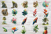 TROPICAL JUNGLE clipart, an Illustration by Designworld (Thumbnail 5 of 5)