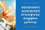 Clydia - A Script Font, a Script Font by Hanstype.com (Thumbnail 6 of 10)