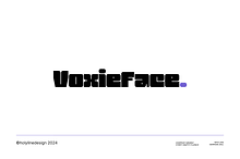 Voxieface Display Family