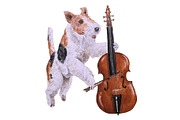Musical Dog Paintings Bundle, an Animal Illustration by Doggy Days (Thumbnail 7 of 7)