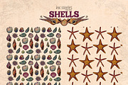 Enchanted Sea Bundle Fantasy Marine, an Animal Illustration by Ink Stories (Thumbnail 36 of 54)