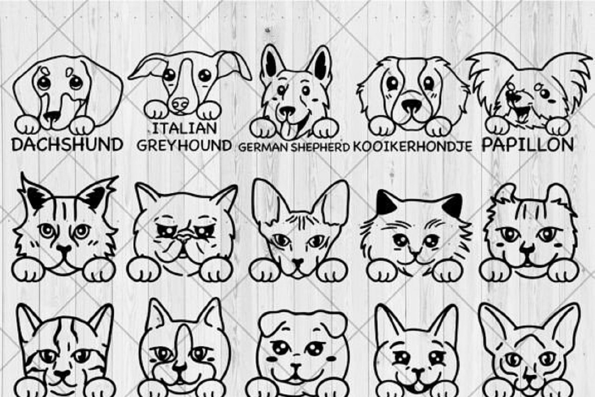 35 Dog 10 Cat Breed Bundle, a Templates & Theme by QualityGraphics (Photo 3 of 4)
