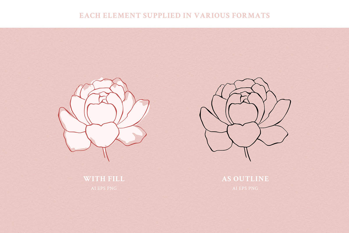 Peony - Line Art Flower, a Pattern Graphic by simpleblues (Photo 8 of 8)