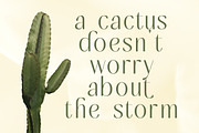Mugia Elegant Modern Display Font, a Sans Serif Font by timelesstype.co (Thumbnail 12 of 20)