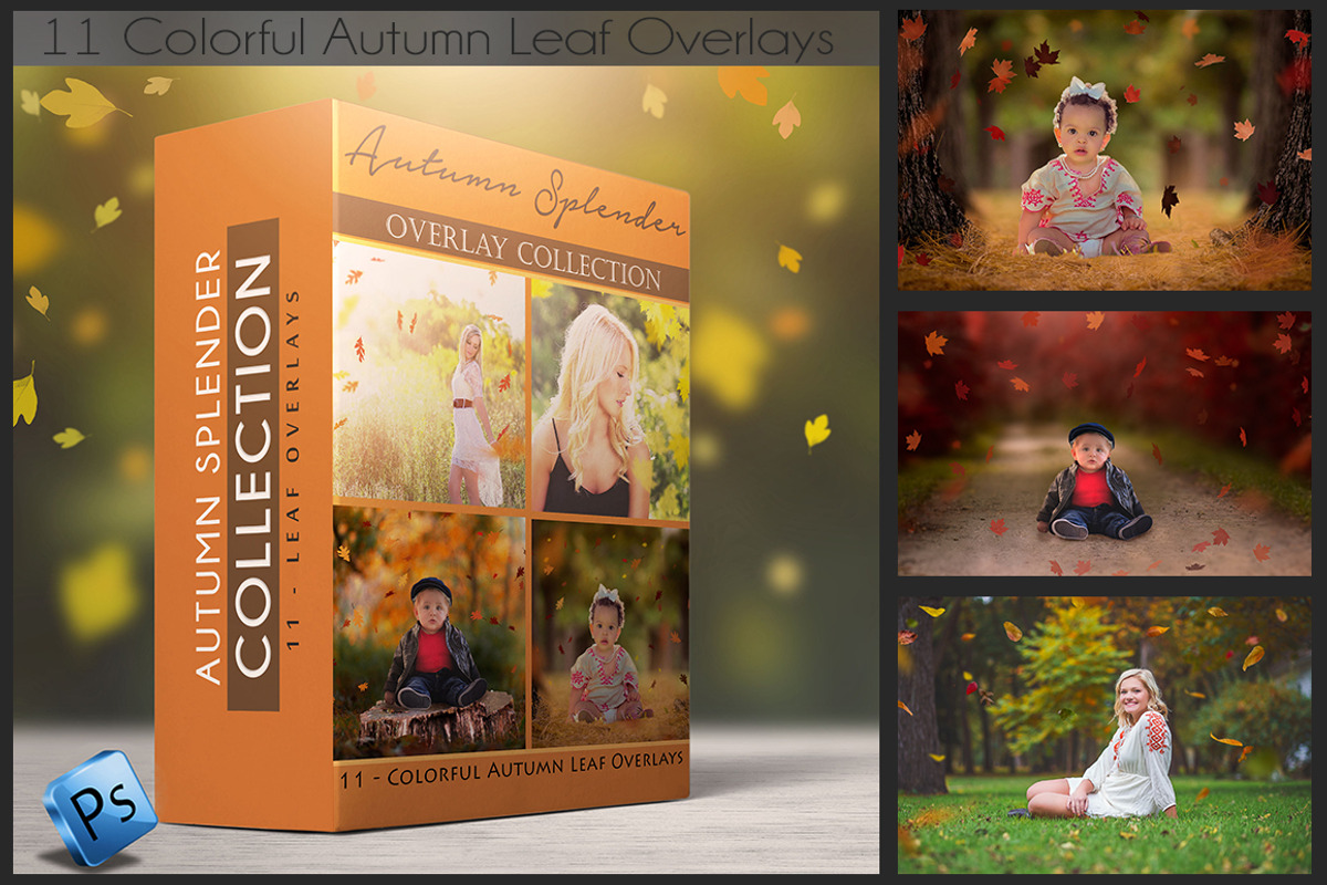 Leaf Overlays - Autumn Splender