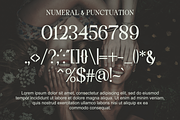Staller - A Modern Beauty Font, a Serif Font by Marvadesign (Thumbnail 5 of 7)