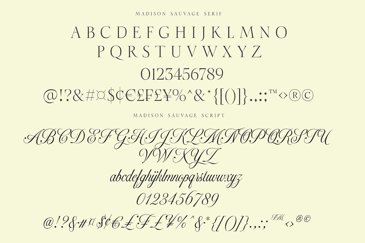 Madison Sauvage - Font Duo, a Script Font by Jolicia Type (Photo 8 of 15)