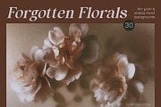 Grainy Film Floral Backgrounds, a Background Graphic by alenaganzhela (Thumbnail 1 of 8)