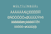 BAVEREEN SERIF, a Script Font by zerologicstudio (Thumbnail 6 of 9)