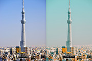 Daydream Lightroom Presets and LUTS, an Action Add-On by SparkleStock (Thumbnail 6 of 8)