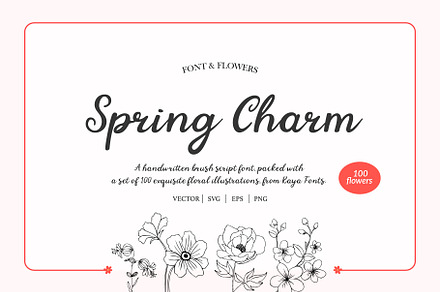 Spring Charm Handdrawn Flowers