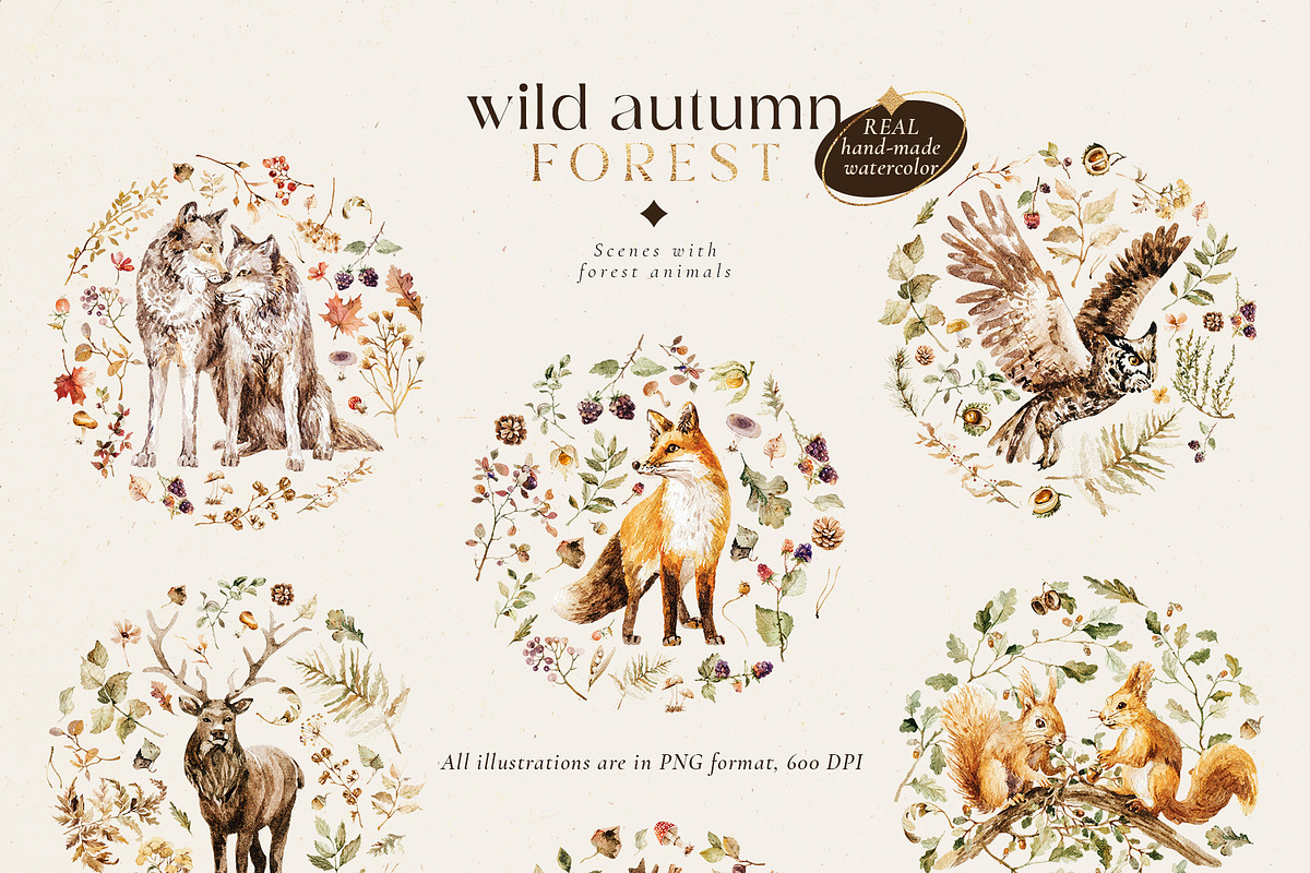 Wild autumn forest - watercolor fall, an Animal Illustration by Pamyatka Shop (Photo 12 of 16)