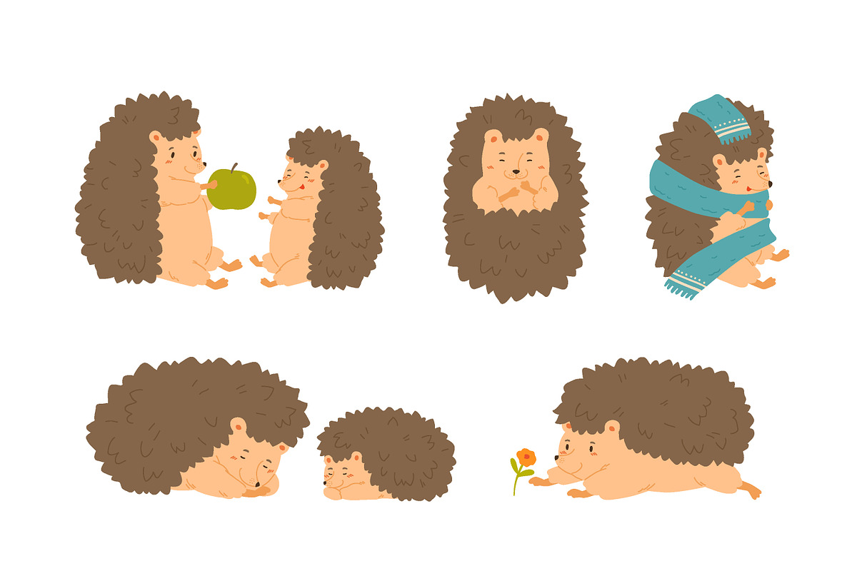 Cute cartoon hedgehog set, an Animal Illustration by Good Studio (Photo 3 of 5)