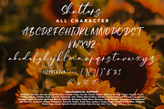 Shutters - Beauty Handwritten Font, a Handwritten Font by Arendxstudio (Thumbnail 9 of 9)