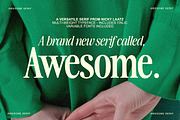 The Awesome Serif Family (32 Fonts), a Serif Font by Nicky Laatz (Thumbnail 1 of 42)