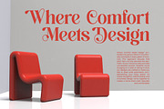 Beyond Wandler Modern Serif Font, a Serif Font by timelesstype.co (Thumbnail 9 of 20)
