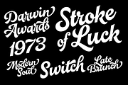 Pitcher - baseball script, a Script Font by Fenotype (Thumbnail 12 of 12)