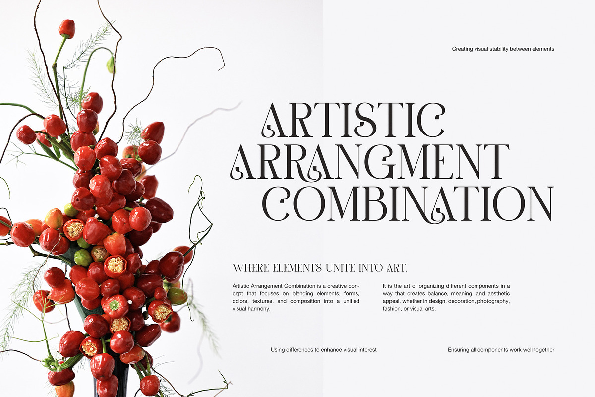 The Goera Elegant Serif Font, a Serif Font by Graphicxell (Photo 5 of 8)